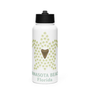 Stainless steel water bottle with a straw lid